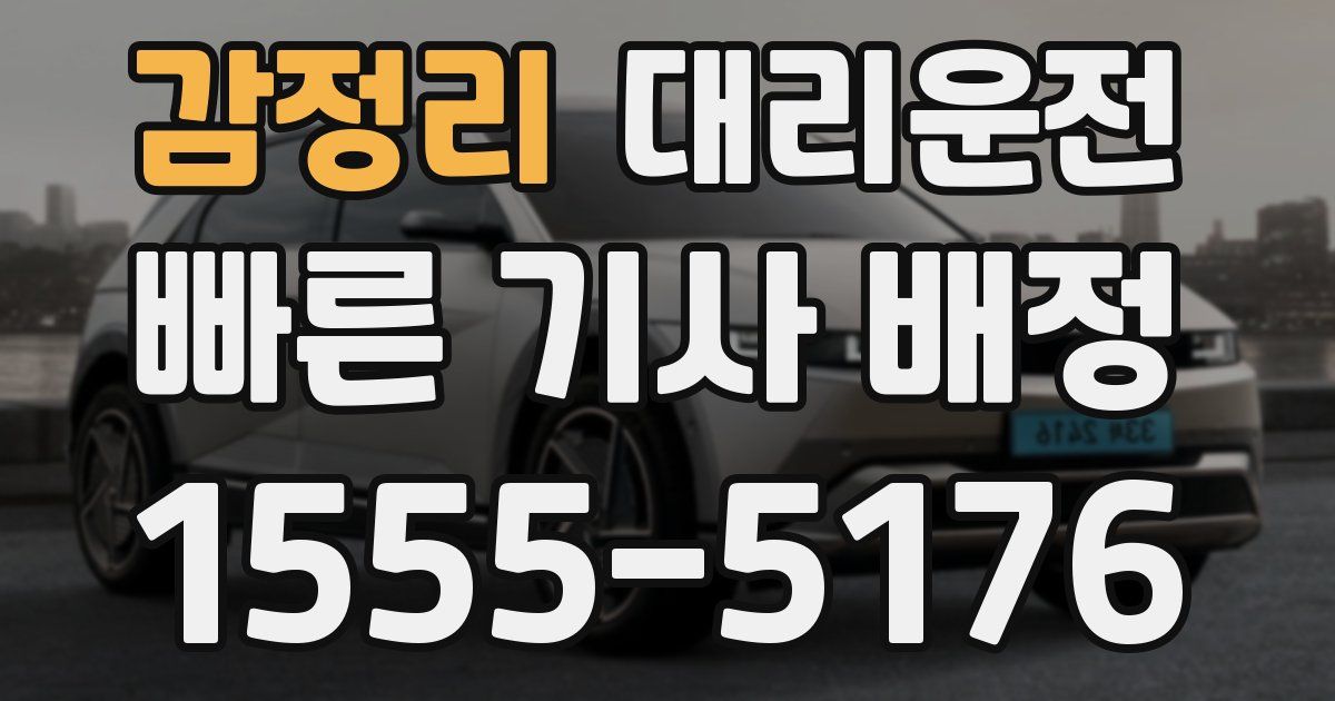 일일대리기사