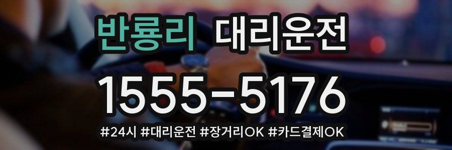 반룡리 대리운전