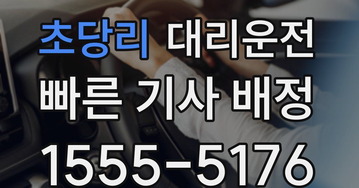 일일대리기사