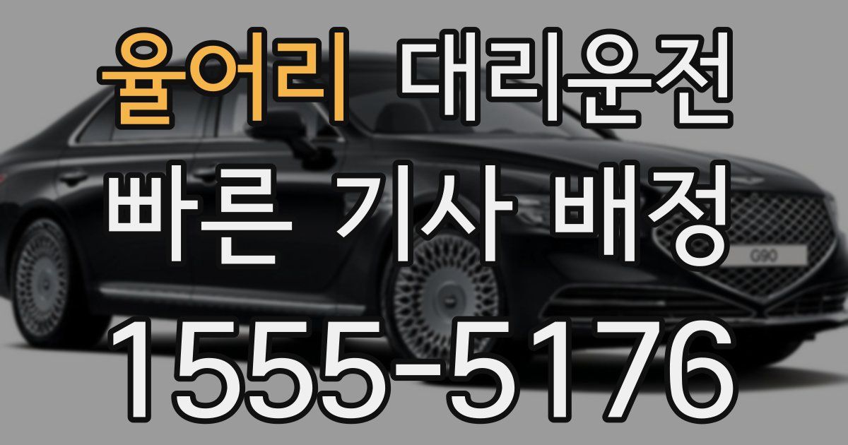 일일대리기사