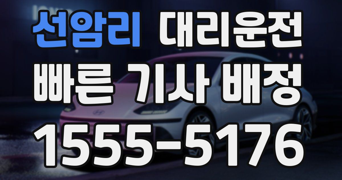 일일대리기사