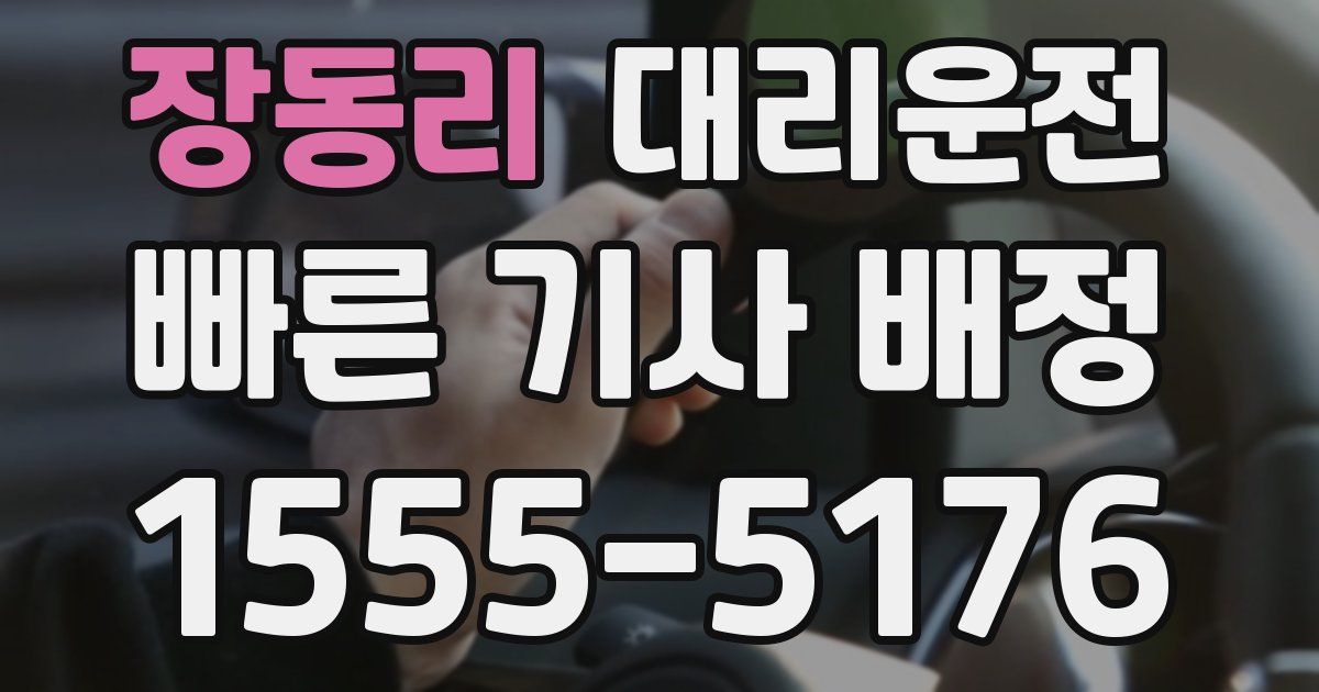 일일대리기사