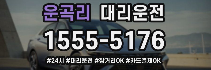 운곡리 대리운전
