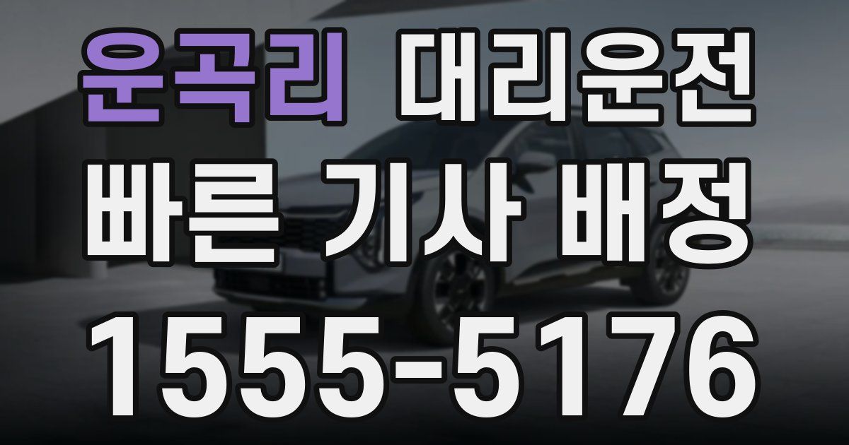 일일대리기사