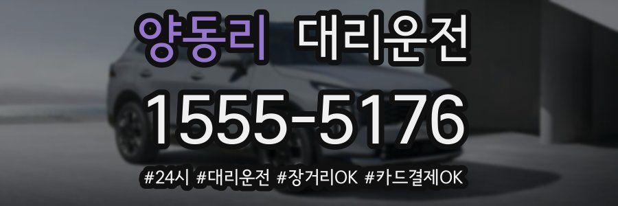양동리 대리운전