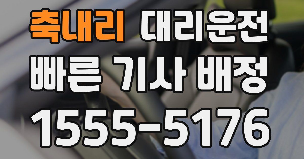 일일대리기사