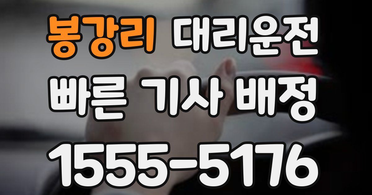 일일대리기사