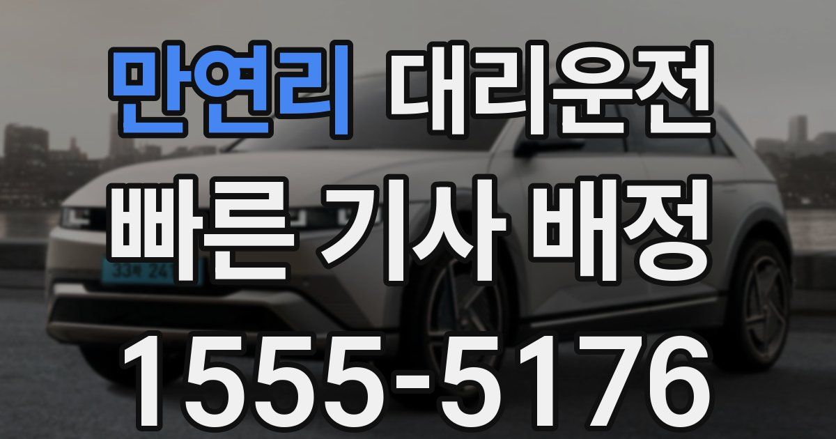 일일대리기사