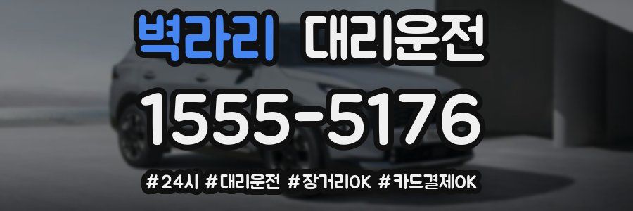 벽라리 대리운전