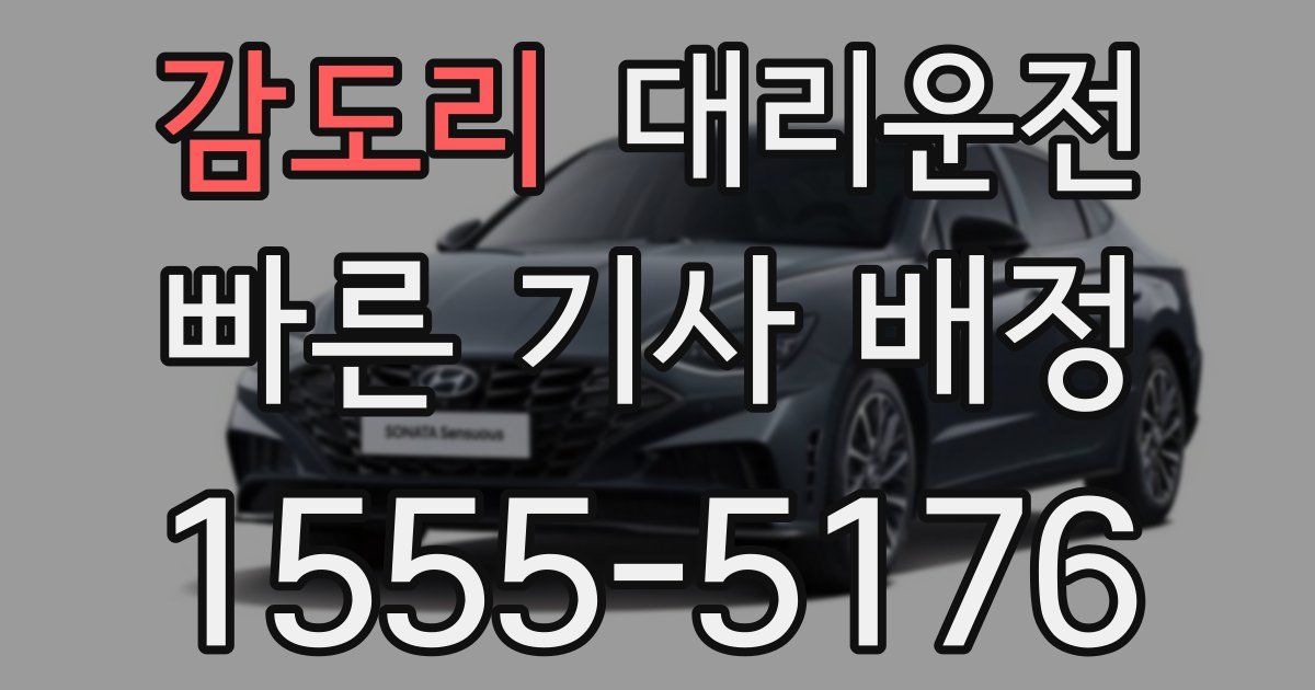일일대리기사
