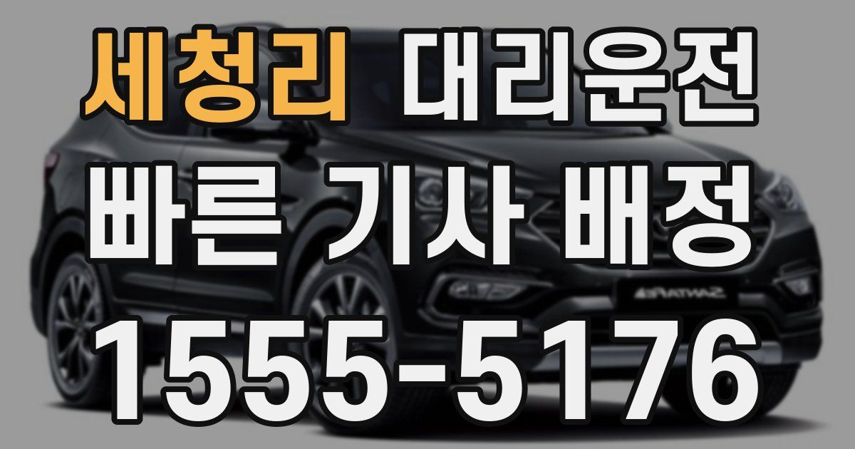 일일대리기사