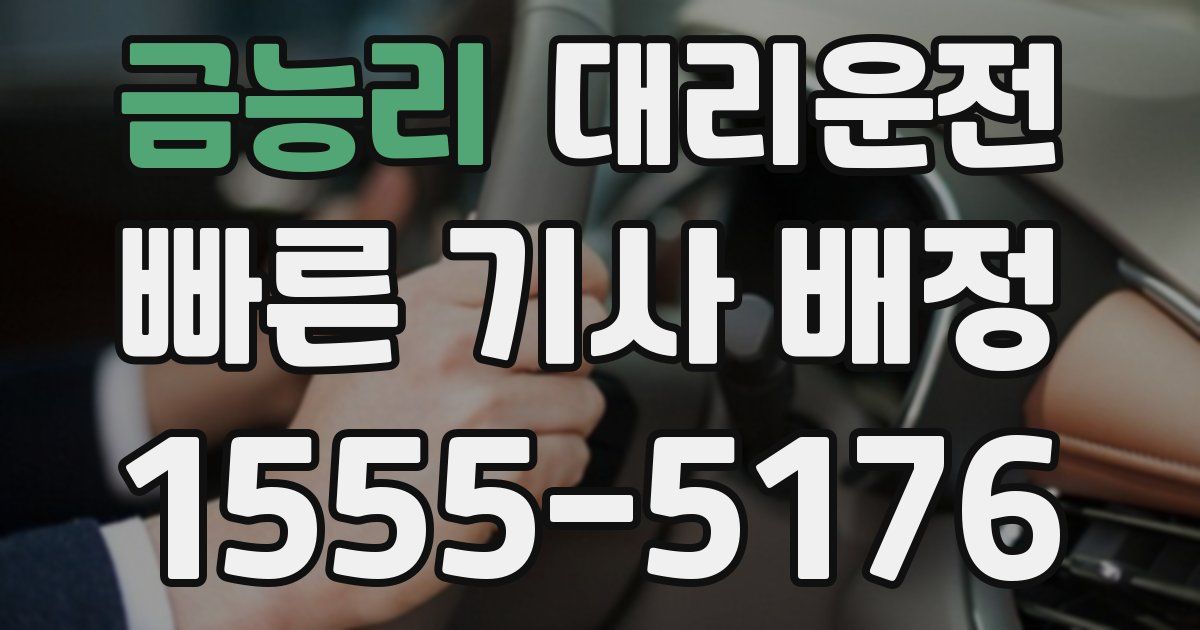 일일대리기사