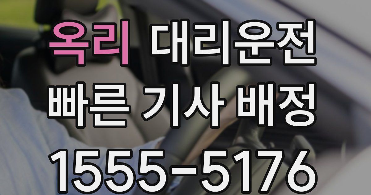 일일대리기사
