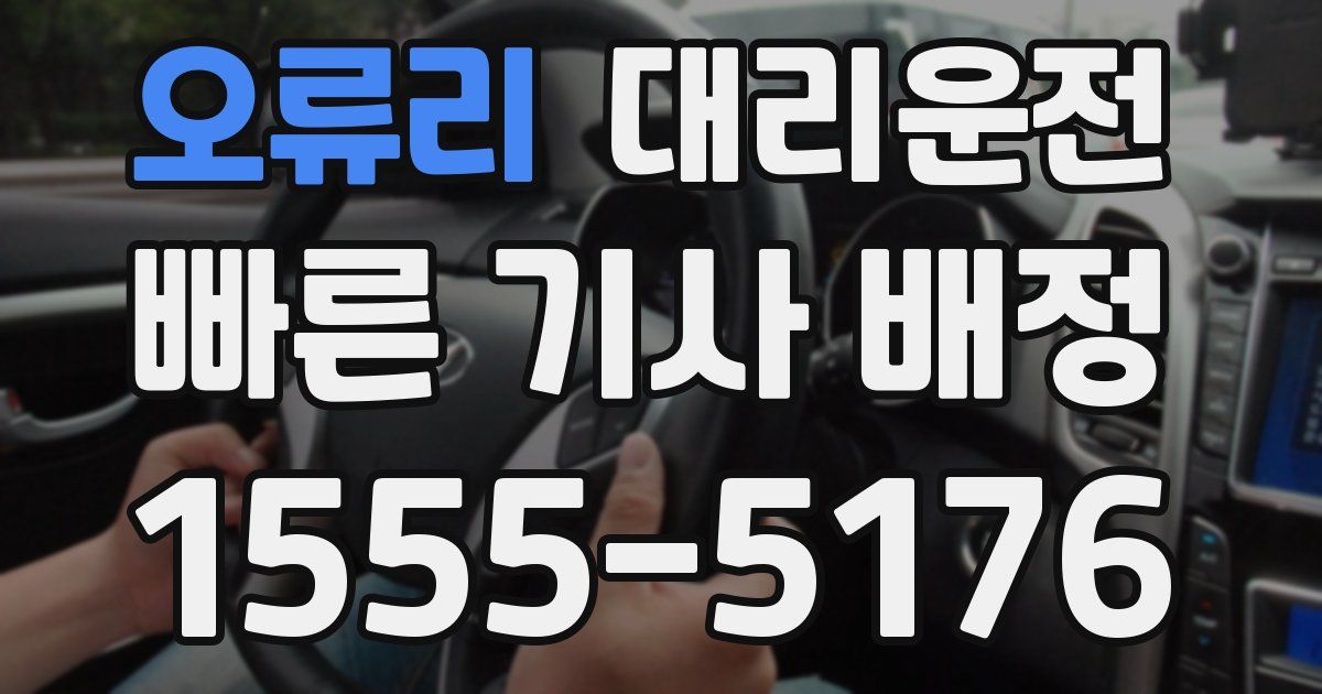 일일대리기사