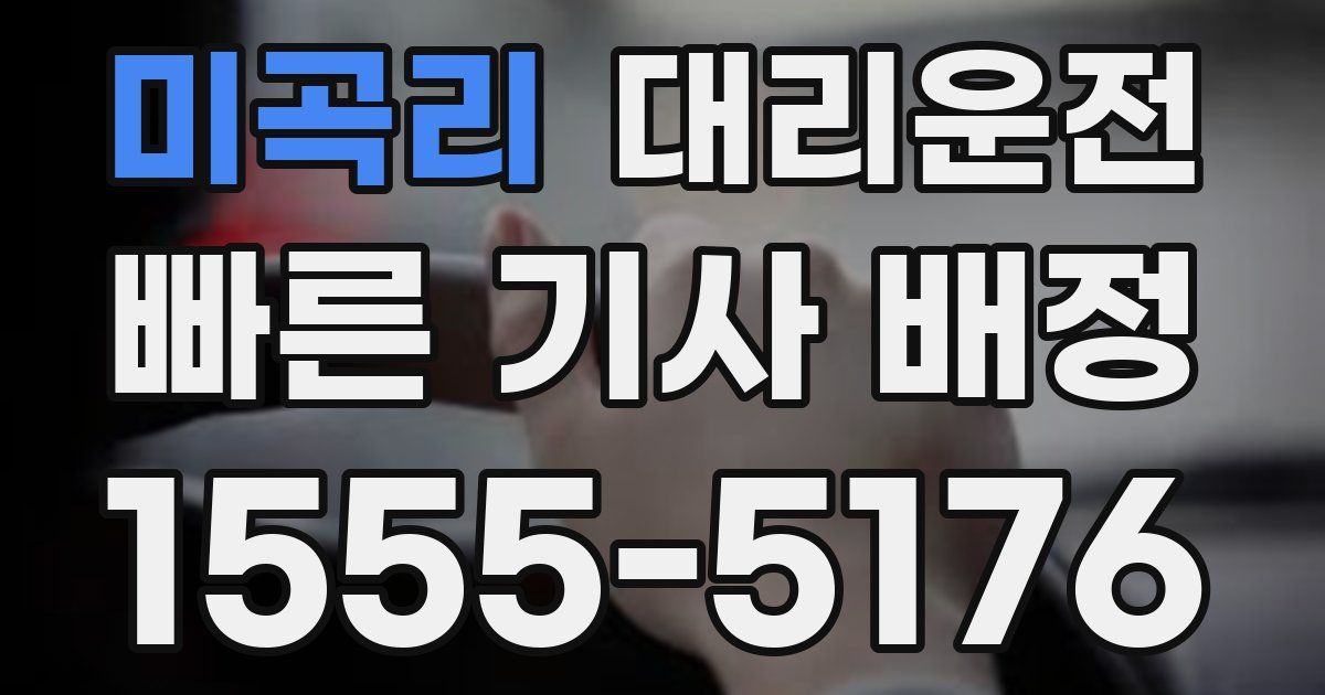 일일대리기사