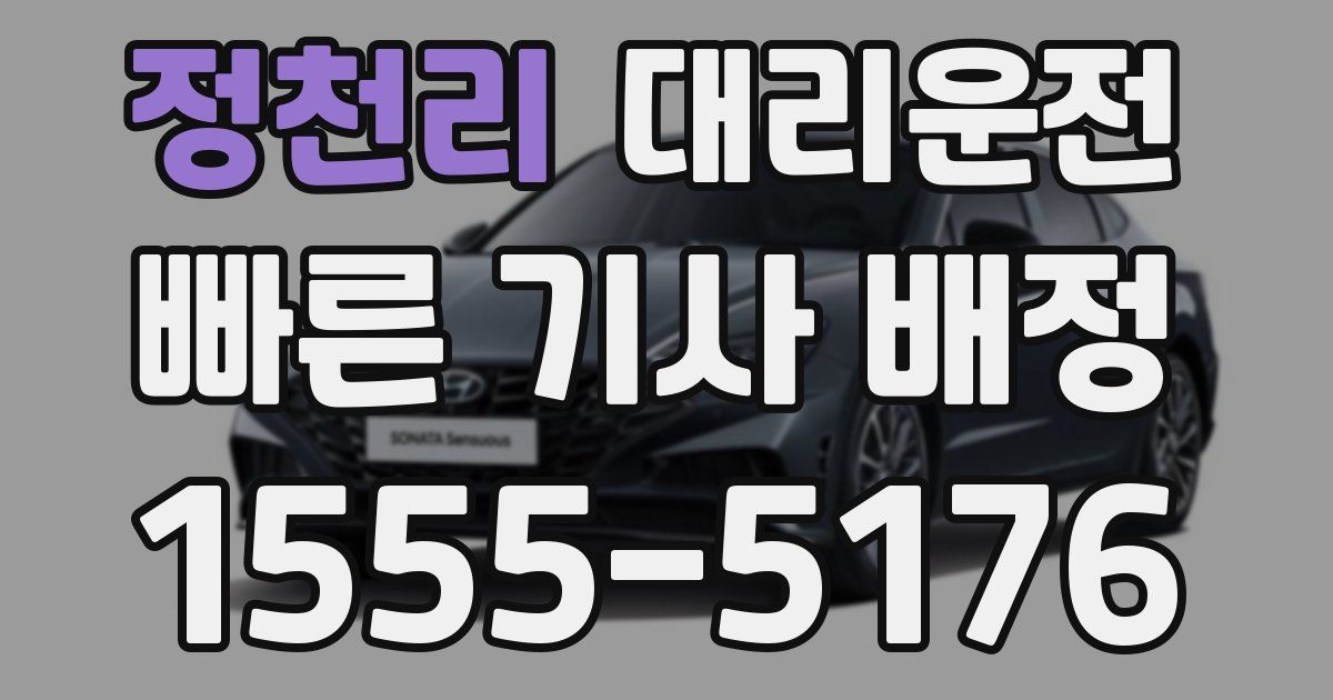 일일대리기사