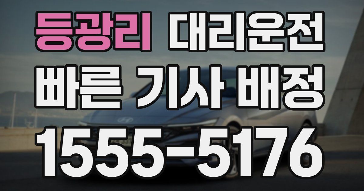 일일대리기사