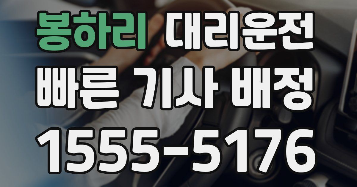 일일대리기사