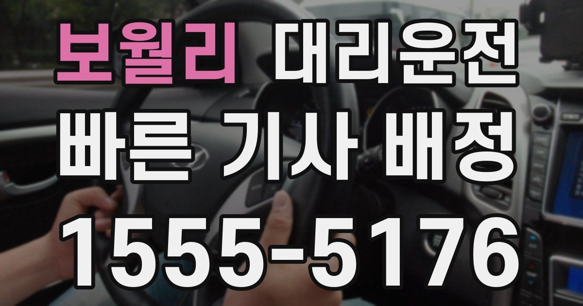 일일대리기사
