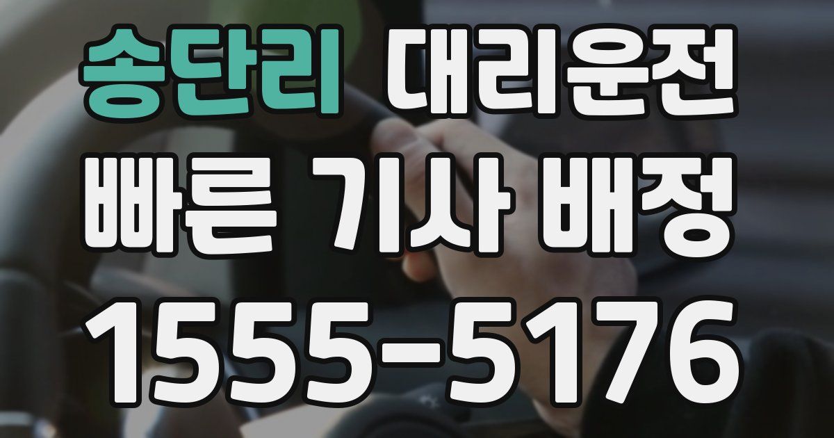 일일대리기사