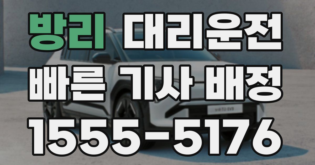 일일대리기사