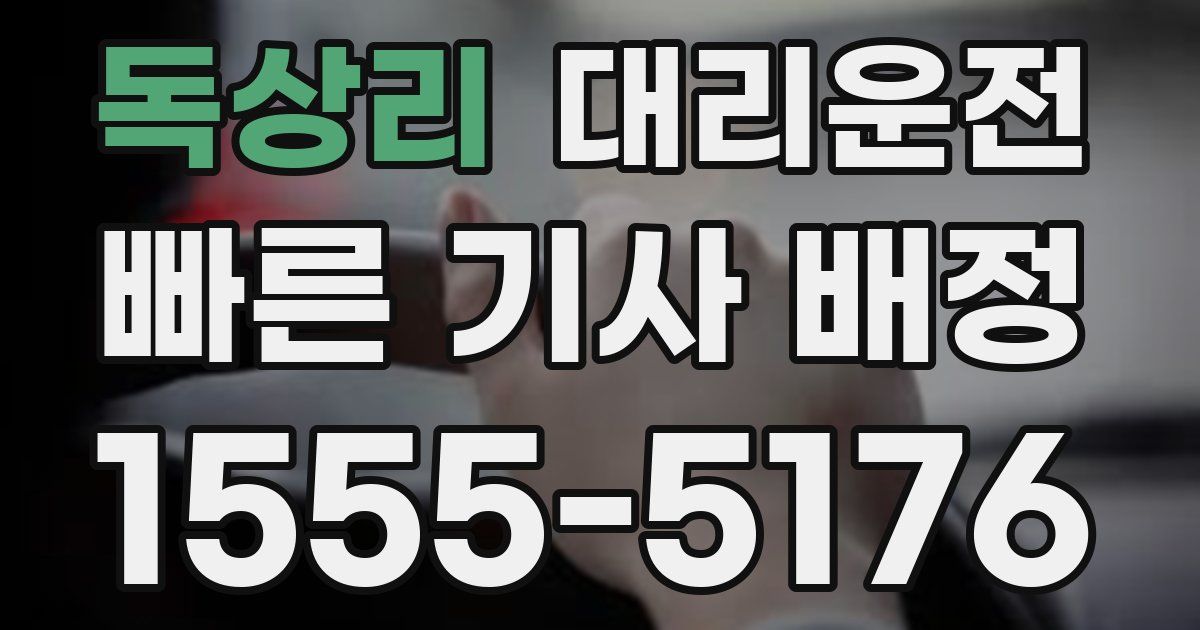 일일대리기사