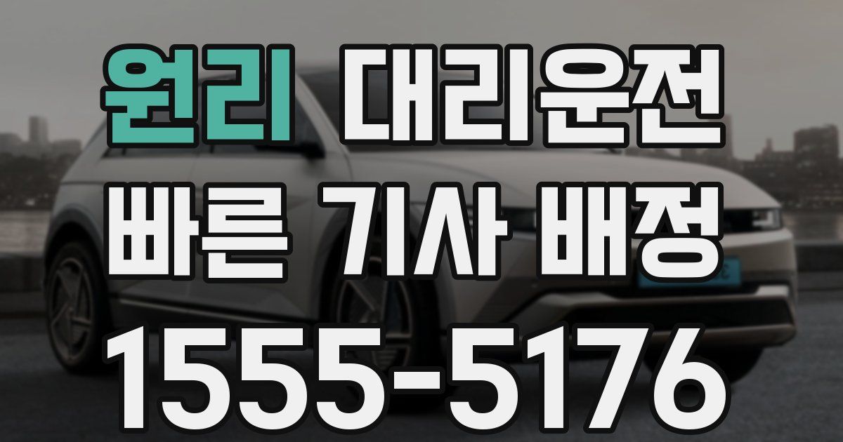 일일대리기사