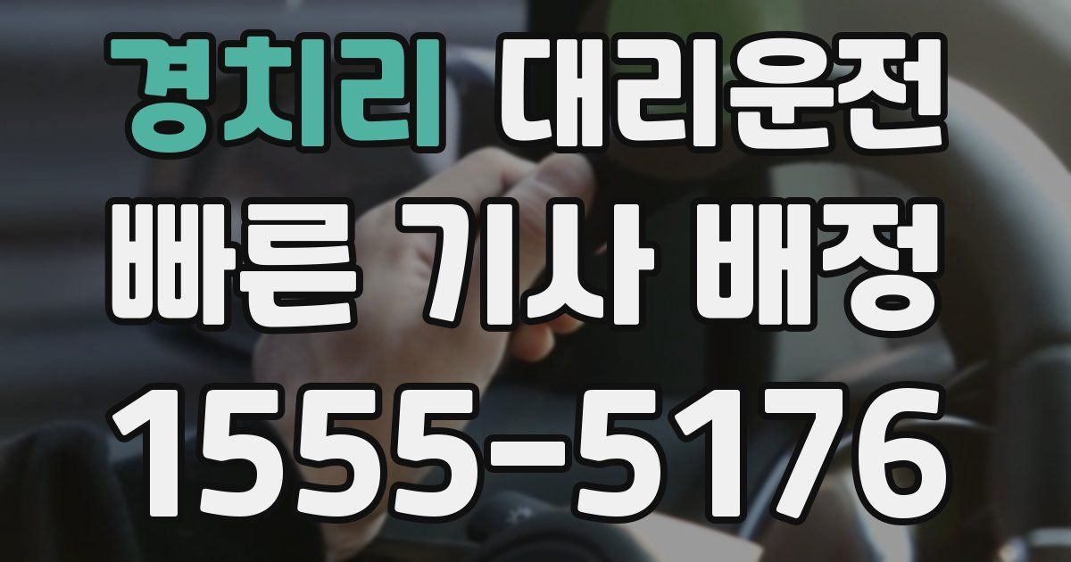 일일대리기사