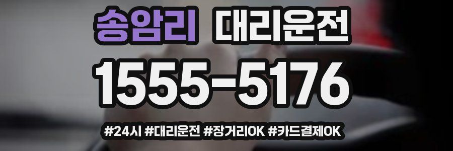 송암리 대리운전