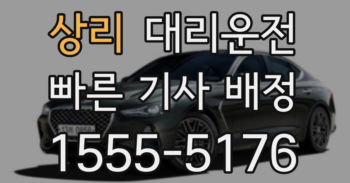 일일대리기사