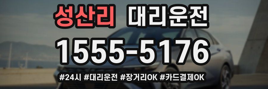성산리 대리운전