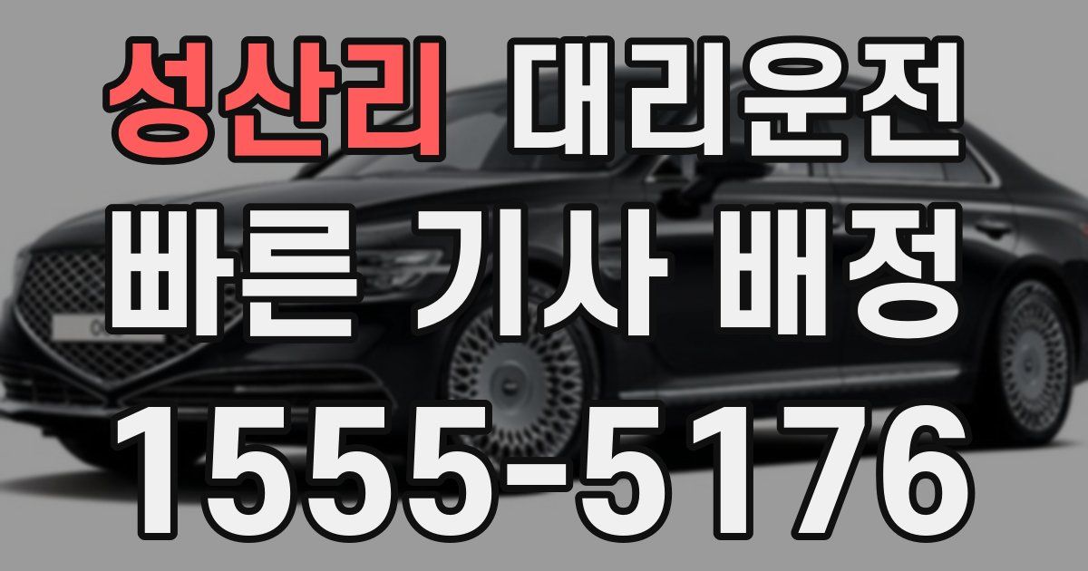일일대리기사