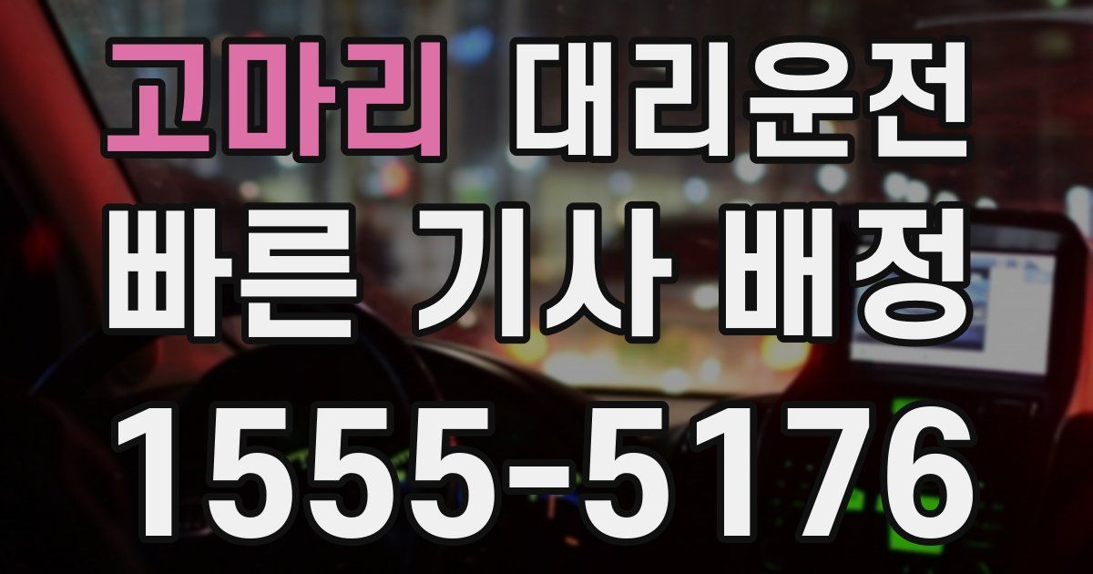 일일대리기사