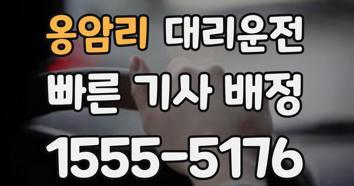 일일대리기사