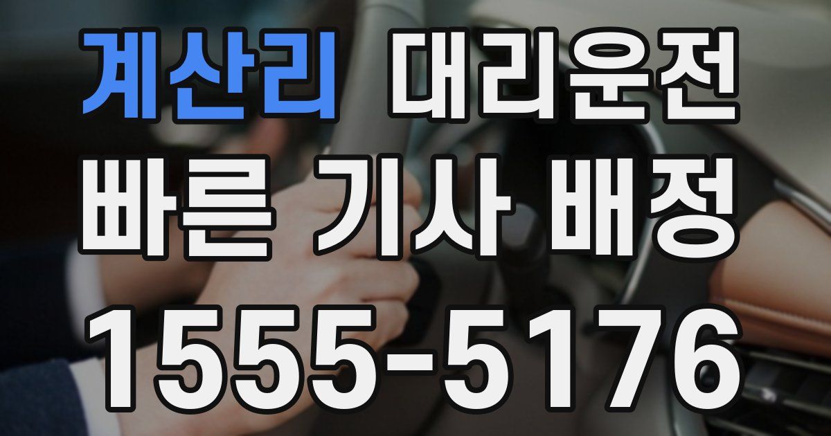 일일대리기사