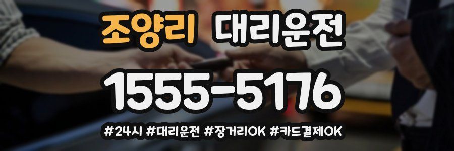 조양리 대리운전