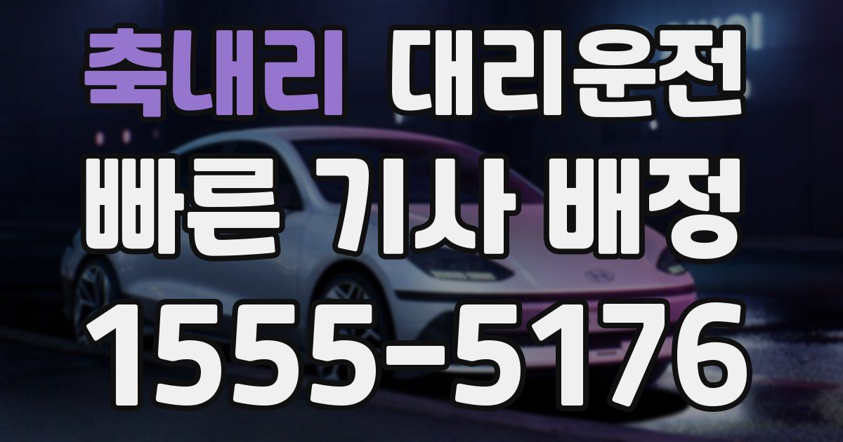 일일대리기사