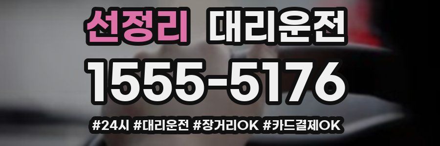 선정리 대리운전