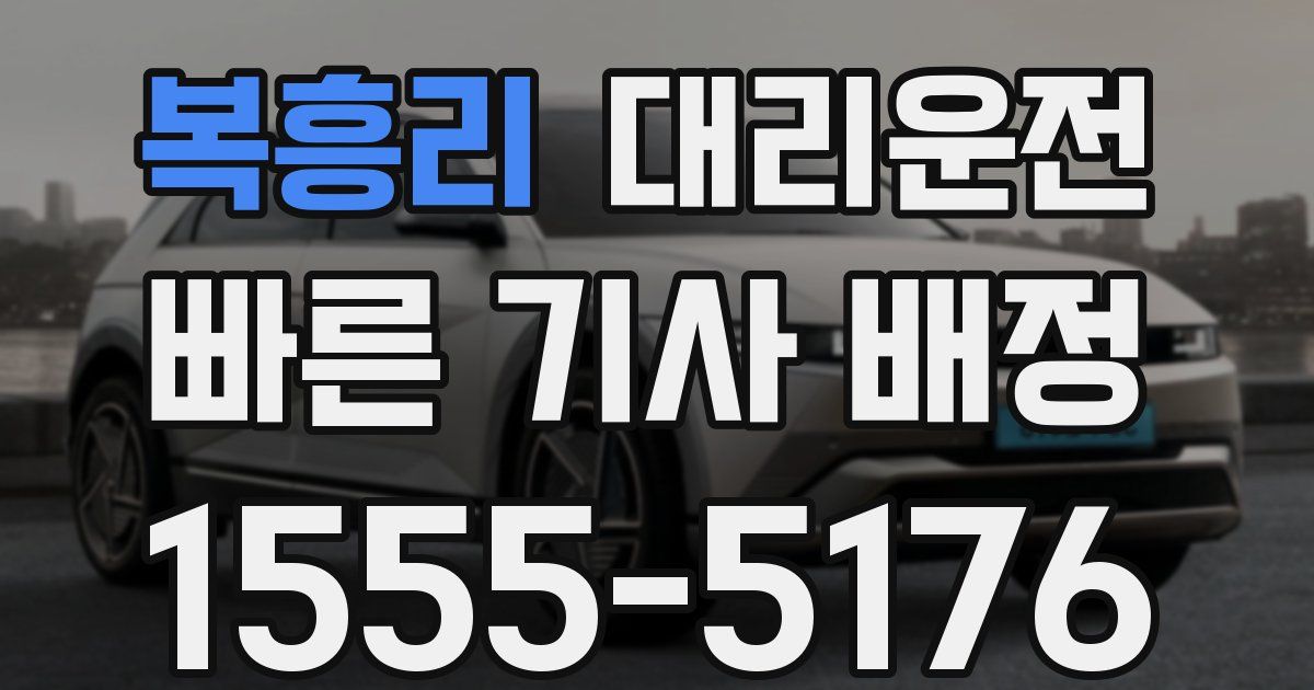 일일대리기사