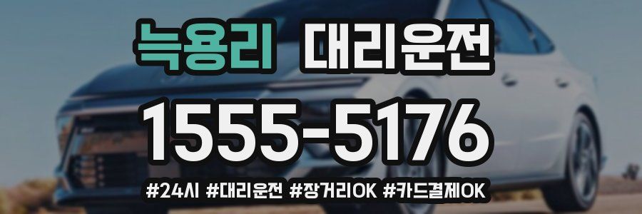 늑용리 대리운전