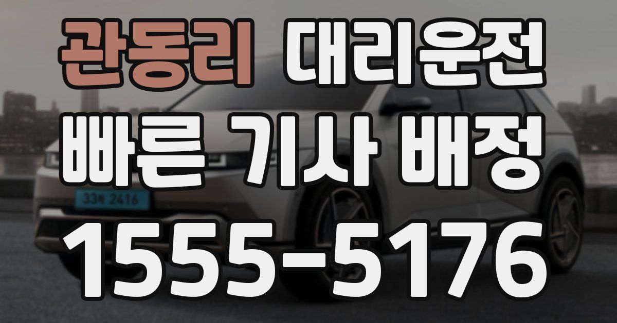 일일대리기사
