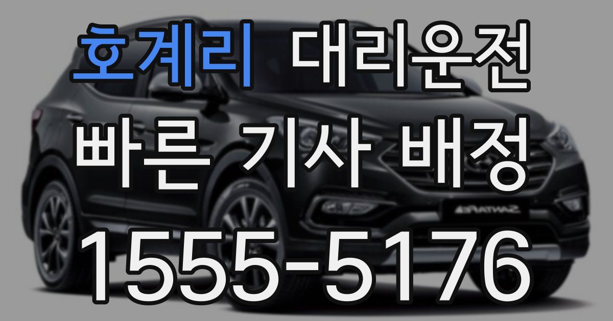 일일대리기사