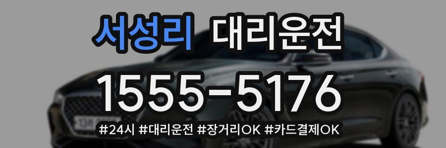 서성리 대리운전