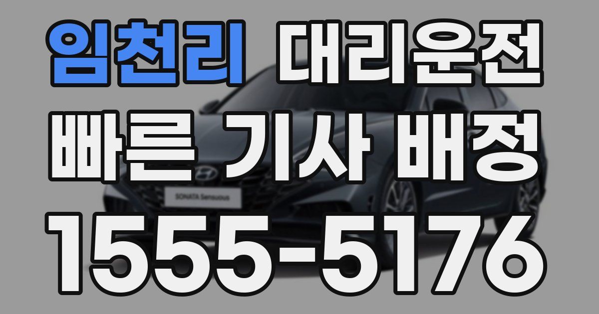 일일대리기사