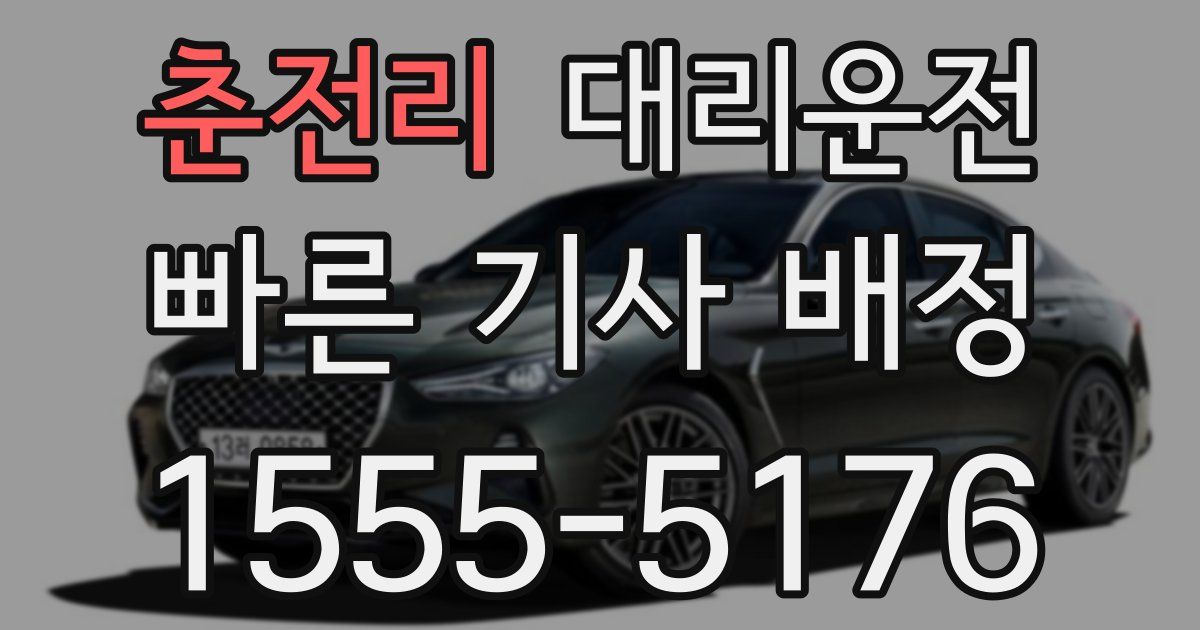 일일대리기사