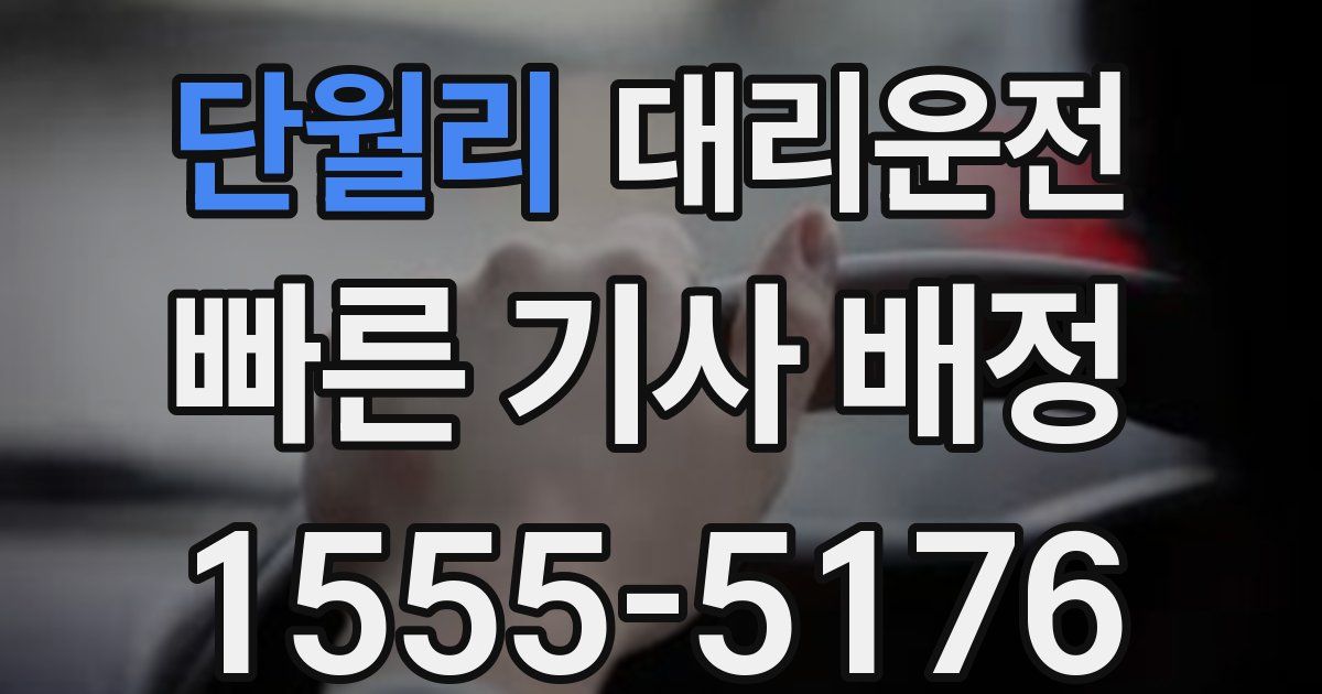 일일대리기사