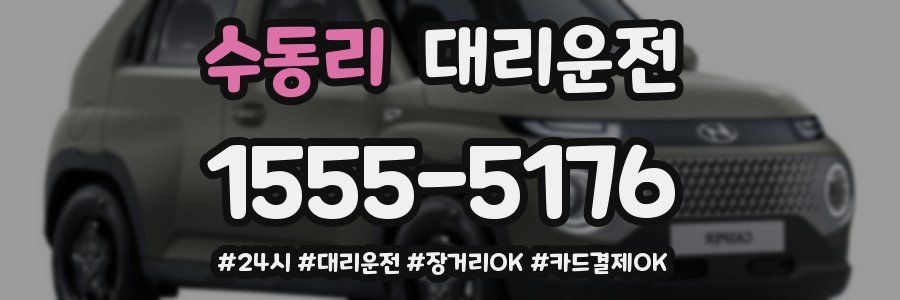 수동리 대리운전