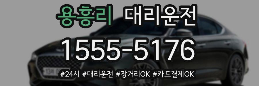 용흥리 대리운전