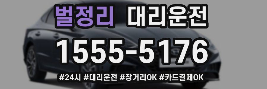 벌정리 대리운전