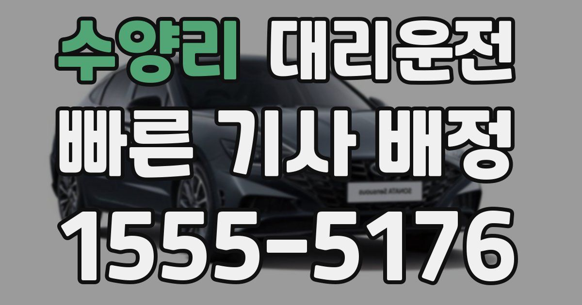 일일대리기사